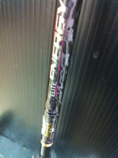 入荷でっせ＼(^o^)／