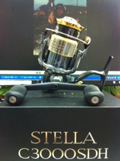 すて～らすて～ら♪