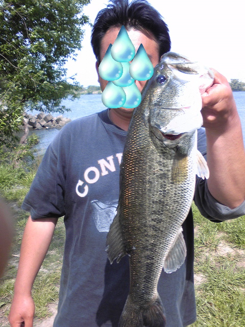 関西一級河川!!釣果情報!! 関西一級河川!!釣果情報!!