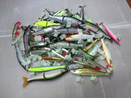 香魚の大群到来!! 香魚の大群到来!!