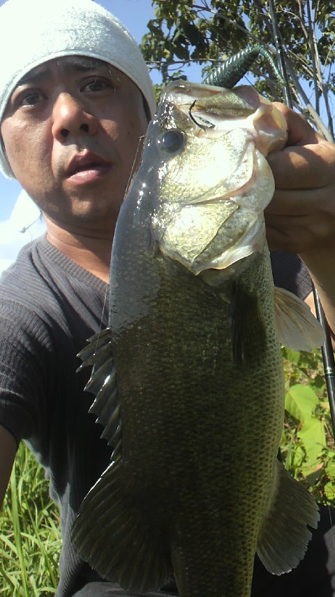 琵琶湖釣果情報 (栗東店) 琵琶湖釣果情報 (栗東店)