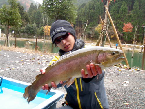 12/1 トラウト釣果情報！！(in朽木渓流魚センター)