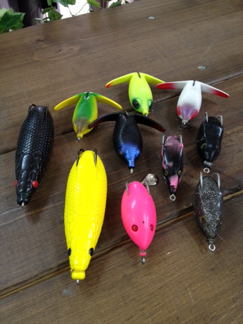 山科店　入荷情報２