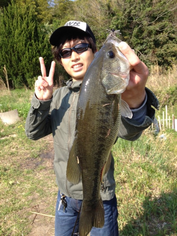 bass tc