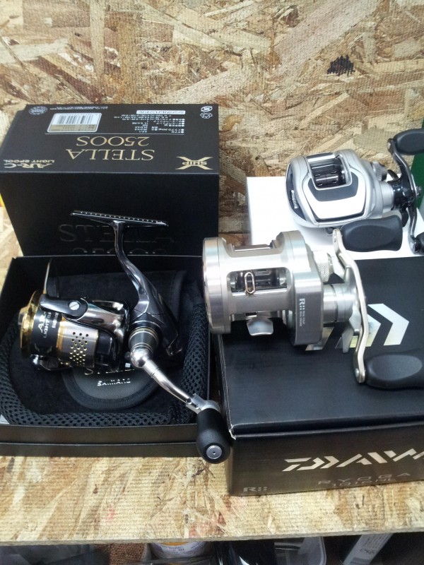 ステラりょーが