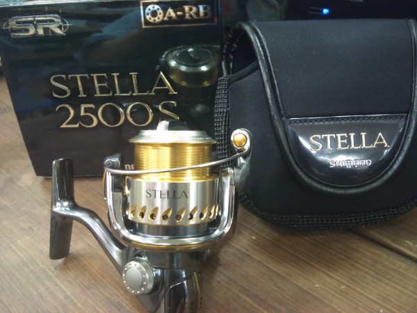 山科店　入荷情報4　ステラ入荷！！！