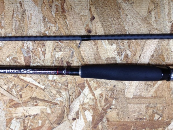 セフィア エギングタックル入荷!! セフィア エギングタックル入荷!!