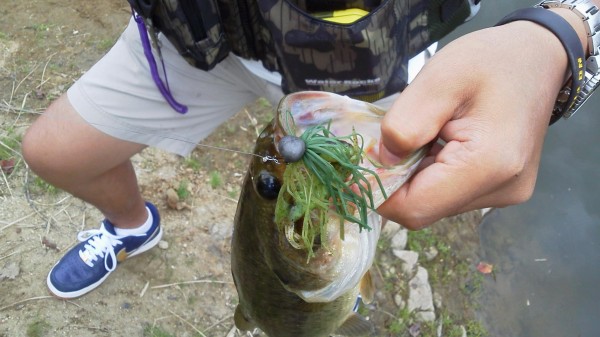 スパイダーレッグ1