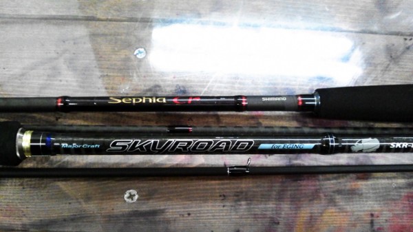 こんにちは！堺南店です！エギングタックル入荷しましたよ！！