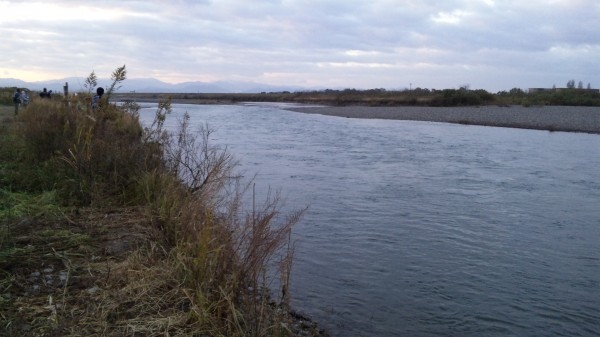 釣果情報&入荷情報 (豊中店) 釣果情報&入荷情報 (豊中店)