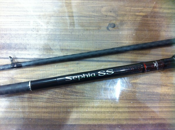 セフィアSS 入荷 (塩屋店) セフィアSS 入荷 (塩屋店)