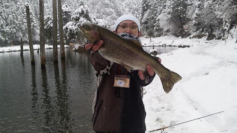 釣果情報。　ト・ラ・ウ・ト　　雪山必見　(豊中店)