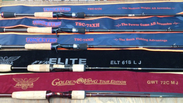 ゴールデンウイング入荷！