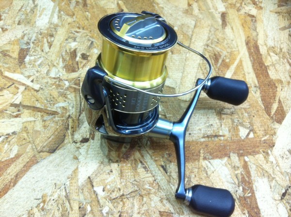 ステラ　入荷！　（和歌山店）