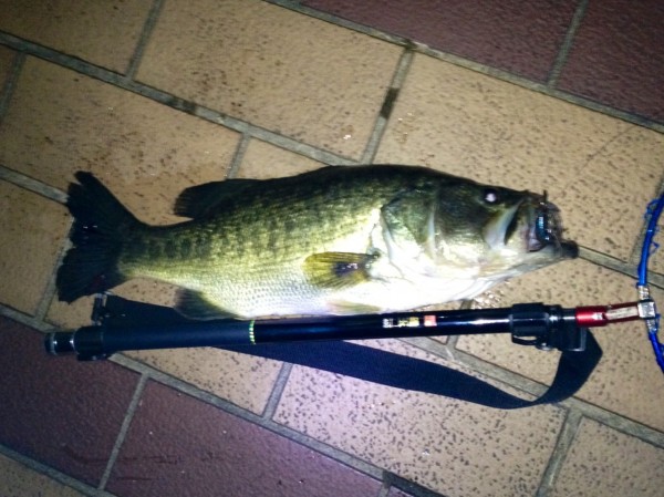 山科店 デカバスハンターの釣果情報!! 山科店 デカバスハンターの釣果情報!!