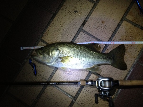 山科店 デカバスハンターの釣果情報2 山科店 デカバスハンターの釣果情報2