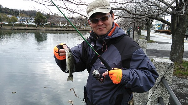 釣果報告　～ブラックバス・in彦根～