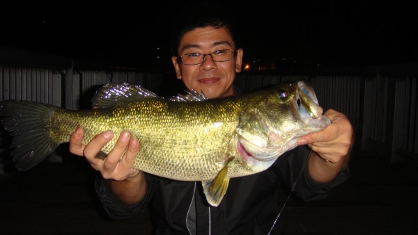山科店 釣果情報 打倒デカバスハンター!? 山科店 釣果情報 打倒デカバスハンター!?