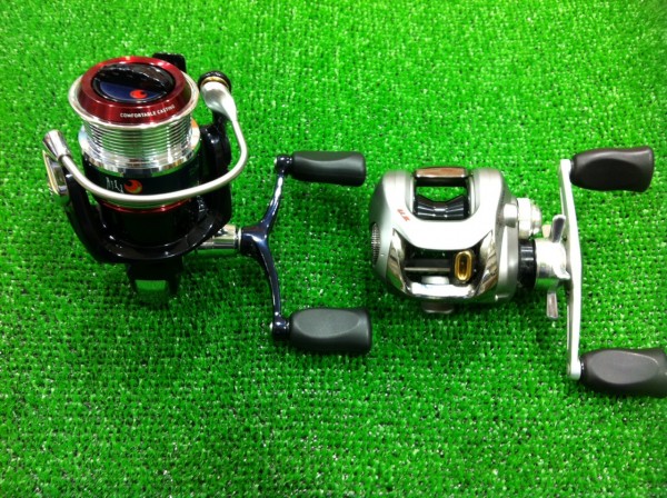 月下美人 TD-Z 入荷(塩屋店) 月下美人 TD-Z 入荷(塩屋店)