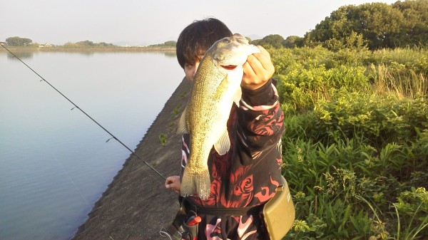 釣果情報 ~ブラックバス~ 釣果情報 ~ブラックバス~