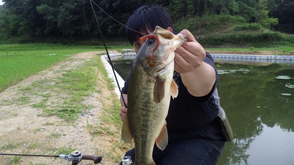 釣果情報　～バス・ヌシ　四国の旅～　(豊中店)