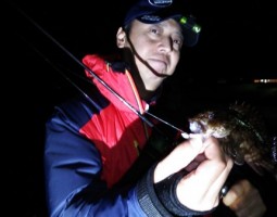 釣果報告　～淡路島・ガシラ～　（茨木店）