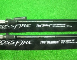 テムジンクロスファイア入荷!!(栗東店) テムジンクロスファイア入荷!!(栗東店)