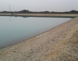 釣果情報　～春バスを求めて～