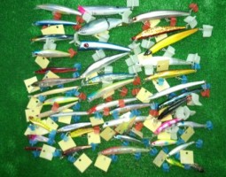 ソルトルアー、枯法師シリーズ入荷！！(大東店)