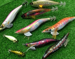 エギ商品入荷しました!!