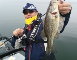 琵琶湖釣果情報　（大東店）