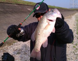 釣果情報 ~春バス オカッパリ~ 釣果情報 ~春バス オカッパリ~