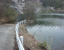 釣果情報　～春バス・リザーバー偏～