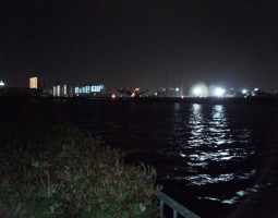 釣果情報　～春のナイターシーバス編～
