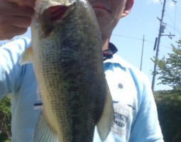 釣果情報です～！！（やっと出来た・・・）　（茨木店）