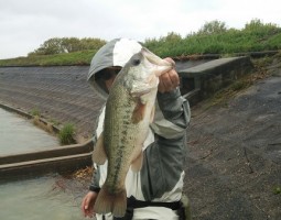 釣果情報＆商品紹介　(茨木店)