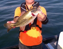 釣果情報　琵琶湖編　（茨木店）