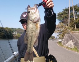 釣果報告　～バス＆ガシラ　おかっぱり釣行～　（豊中店）