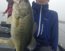 釣果情報~琵琶湖南湖ボート~(豊中店) 釣果情報~琵琶湖南湖ボート~(豊中店)