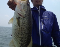 釣果情報～琵琶湖南湖ボート～(豊中店)