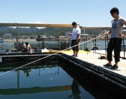 釣果報告 海上釣堀 ”目指せ!高級魚&超大物” 釣果報告 海上釣堀 ”目指せ!高級魚&超大物”