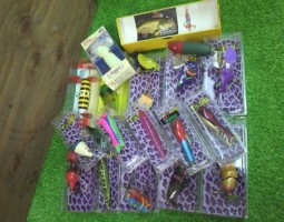 トップ！トイズフロッグ　入荷！　（栗東店）