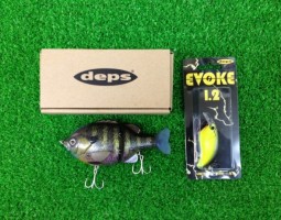 ブルシューターjr★イヴォーグ入荷！（栗東店）