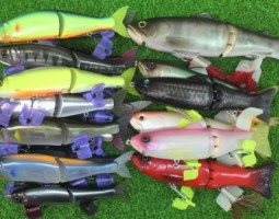 ジョイクロ　入荷！(栗東店）