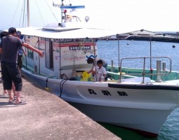 ジギング釣果情報 in 明石 (大東店) ジギング釣果情報 in 明石 (大東店)