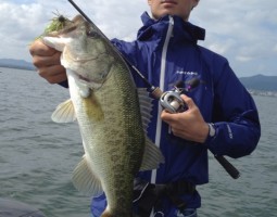 釣果情報~琵琶湖ボート~(豊中店) 釣果情報~琵琶湖ボート~(豊中店)