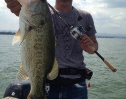 釣果情報~琵琶湖ボート~(豊中店) 釣果情報~琵琶湖ボート~(豊中店)