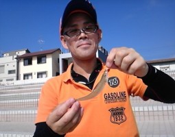 釣果情報!!(淡路島・海編) (茨木店) 釣果情報!!(淡路島・海編) (茨木店)