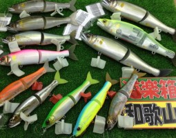 キラーズ、バステーマー、ソルティガ、アンバサダー入荷!! キラーズ、バステーマー、ソルティガ、アンバサダー入荷!!