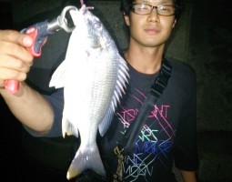 釣果情報~ボンボンゲーム~(豊中店) 釣果情報~ボンボンゲーム~(豊中店)